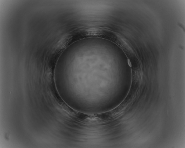 X0000093220557200709261634