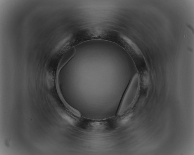 X0000093220558200709261634