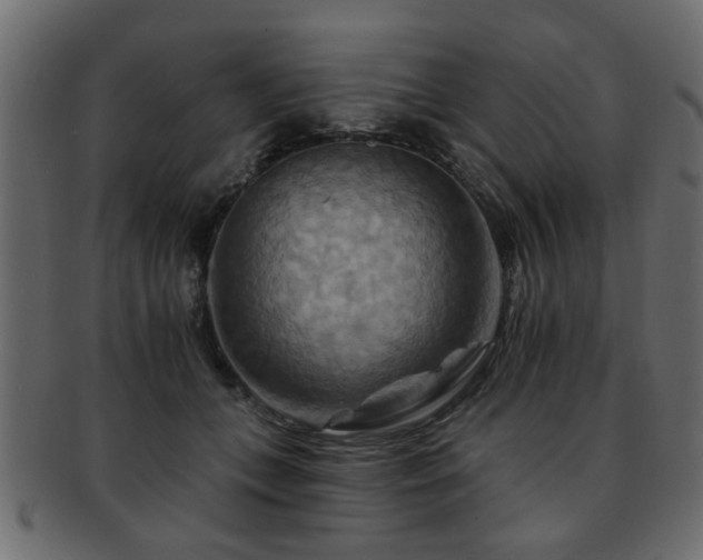 X0000093220559200709261634