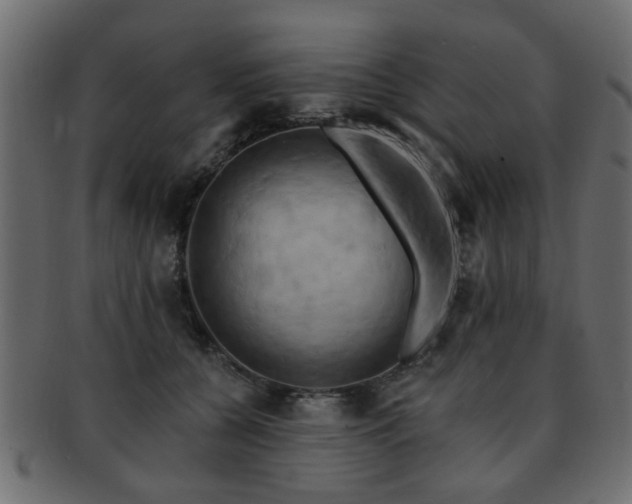 X0000093220560200709261634