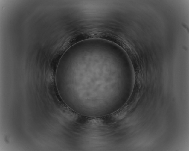 X0000093220561200709261634