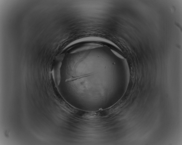 X0000093220563200709261634