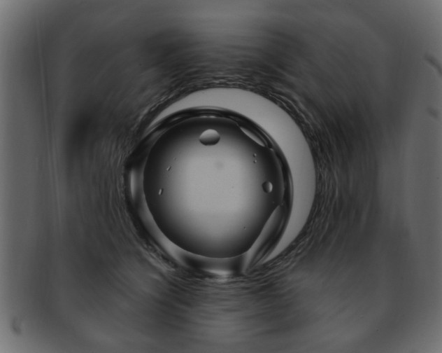 X0000093220564200709261634