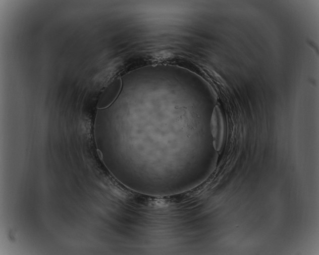 X0000093220565200709261634