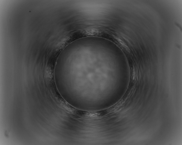 X0000093220569200709261634