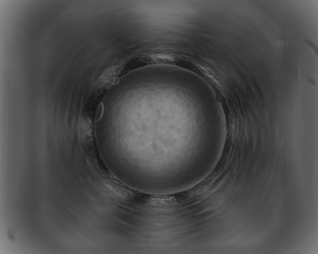 X0000093220571200709261634