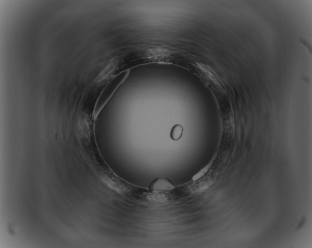 X0000093220572200709261634