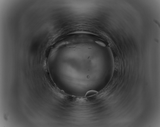 X0000093220573200709261634