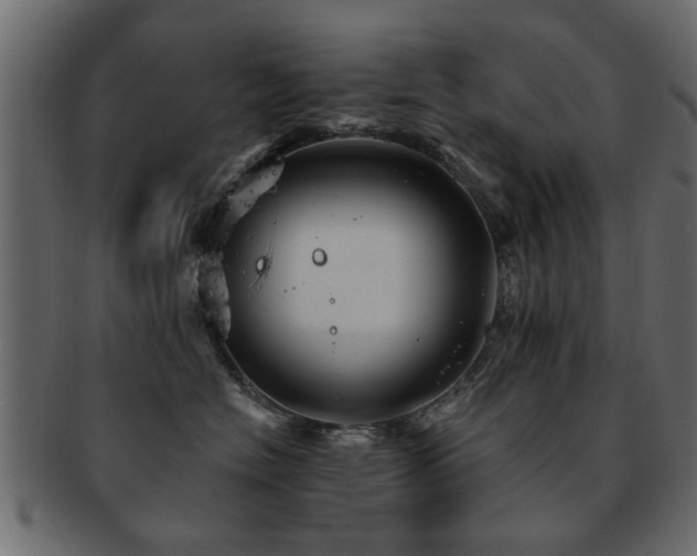 X0000093220574200709261634