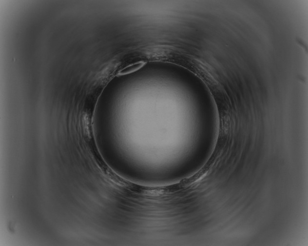 X0000093220575200709261634