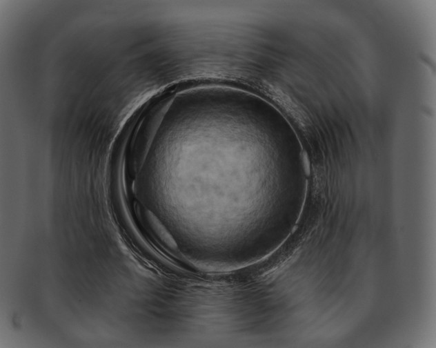 X0000093220580200709261633