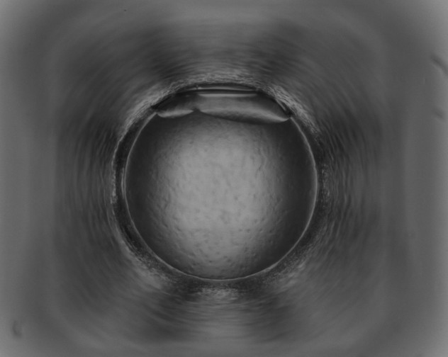 X0000093220582200709261633