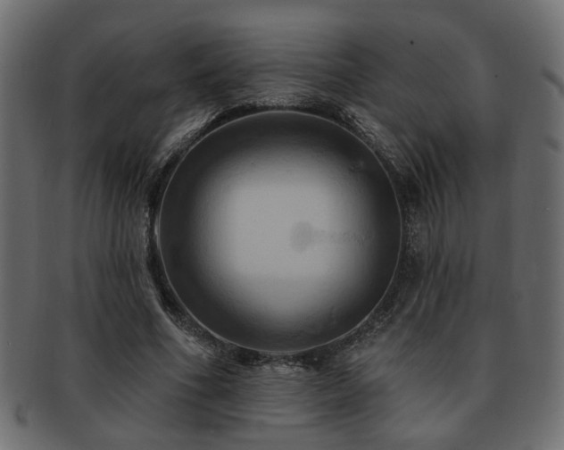 X0000093220586200709261633