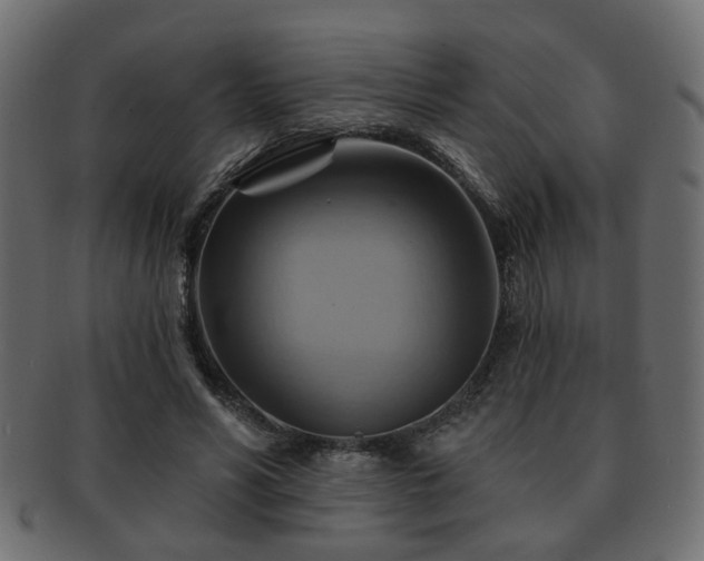 X0000093220590200709261633