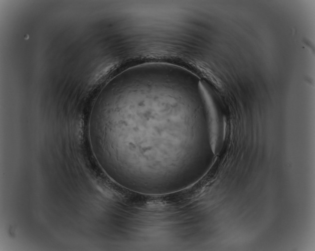 X0000093220591200709261633