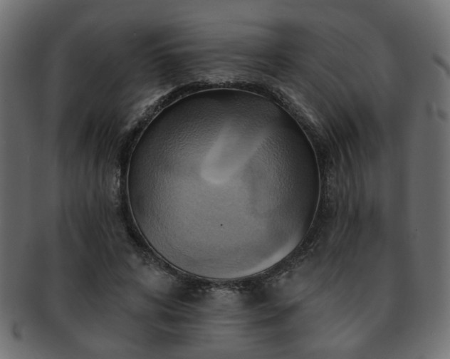 X0000093220592200709261633