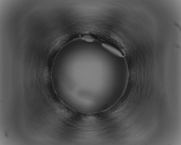 X0000093220594200709261633