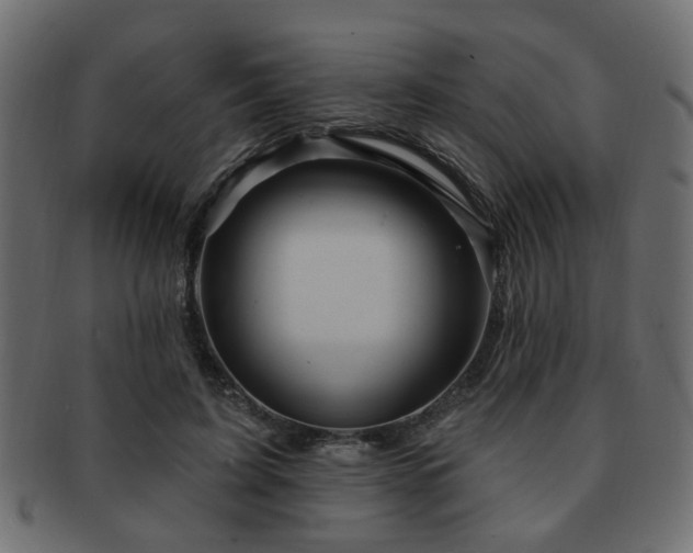 X0000093220595200709261633