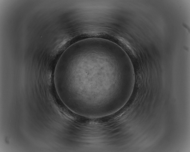 X0000093220596200709261633