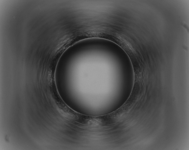X0000093220599200709261633