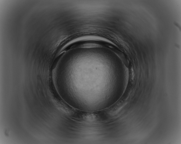 X0000093220600200709261633