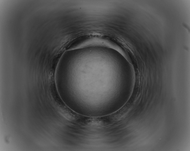 X0000093220601200709261633