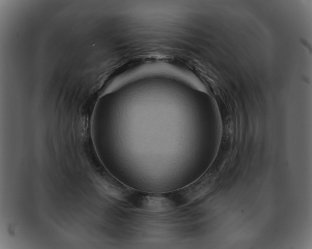 X0000093220605200709261633