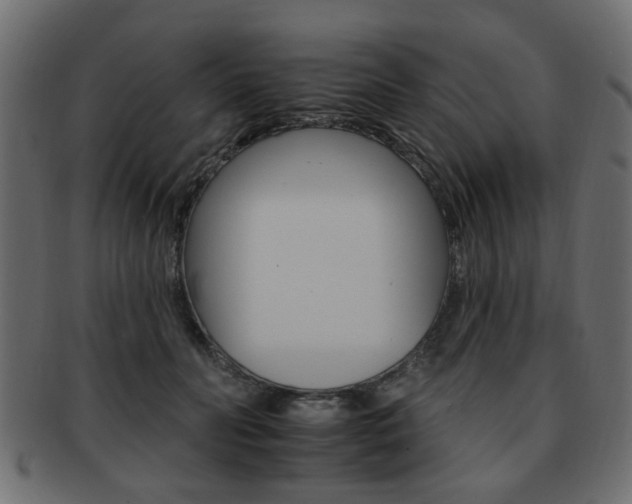 X0000093220606200709261633