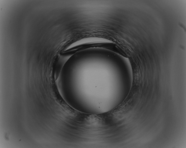 X0000093220608200709261633