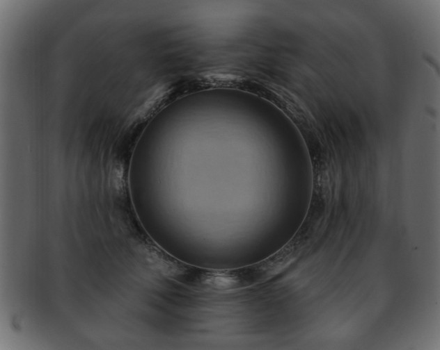 X0000093220610200709261633