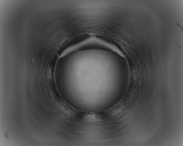 X0000093220611200709261633