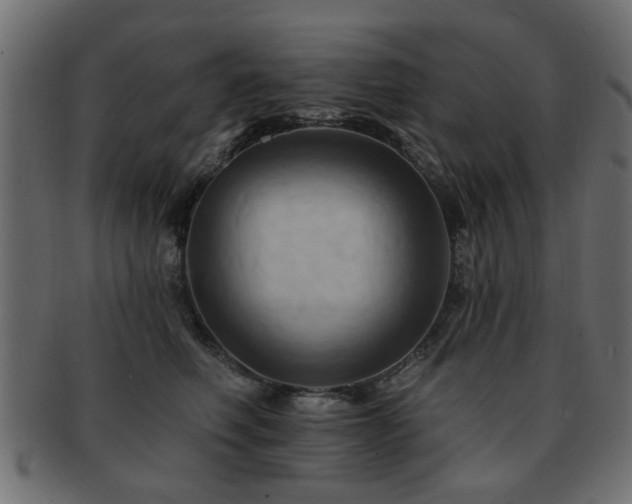 X0000093220614200709261633