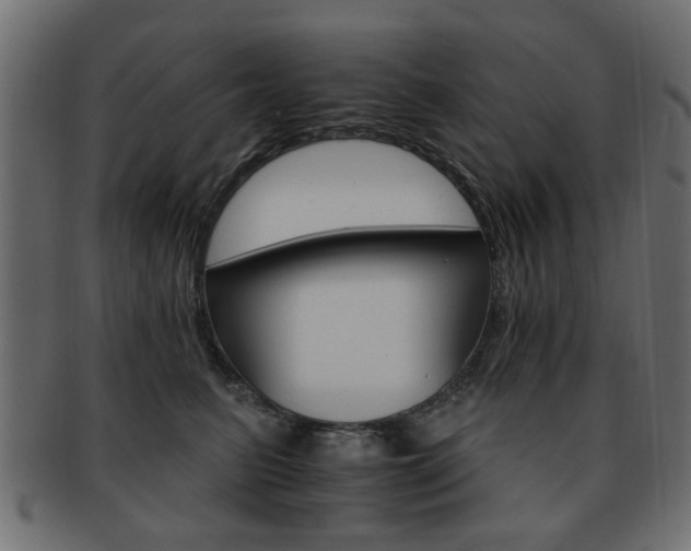 X0000093220615200709261633