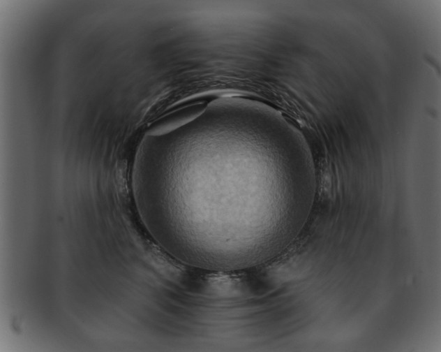 X0000093220616200709261633