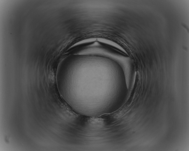 X0000093220617200709261633