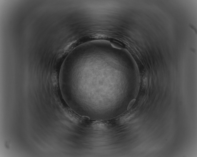 X0000093220620200709261633