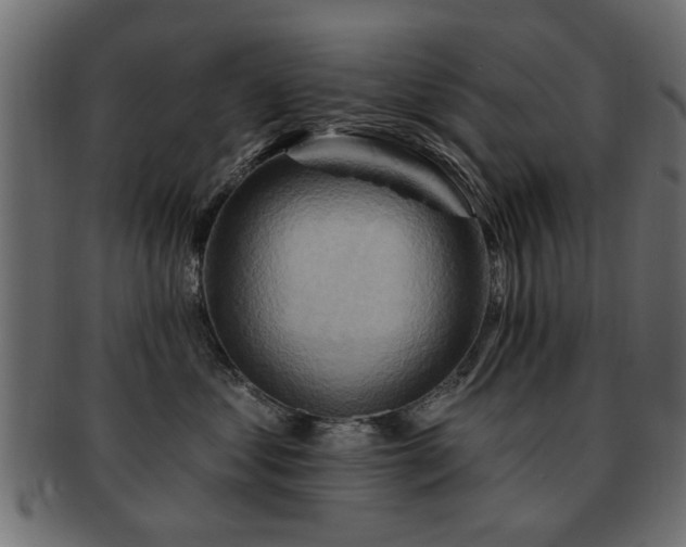 X0000093220621200709261633