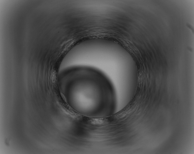 X0000093220623200709261633