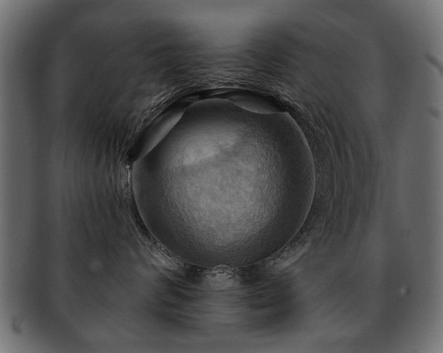X0000093220624200709261633