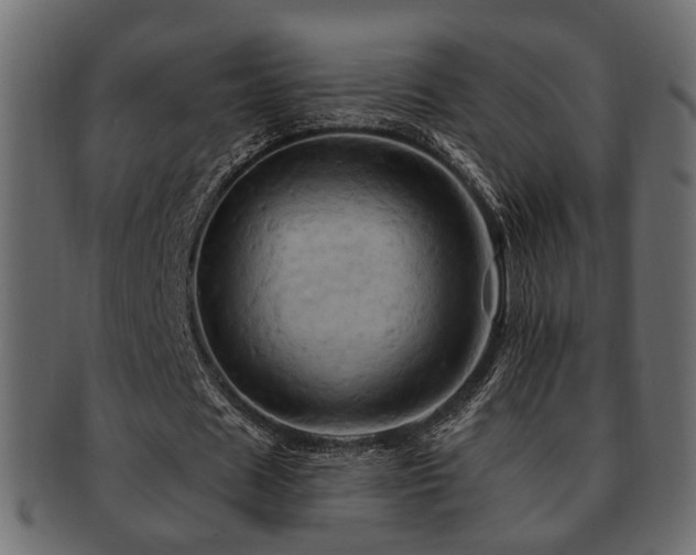 X0000093220625200709261632