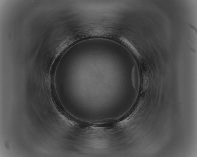 X0000093220626200709261632