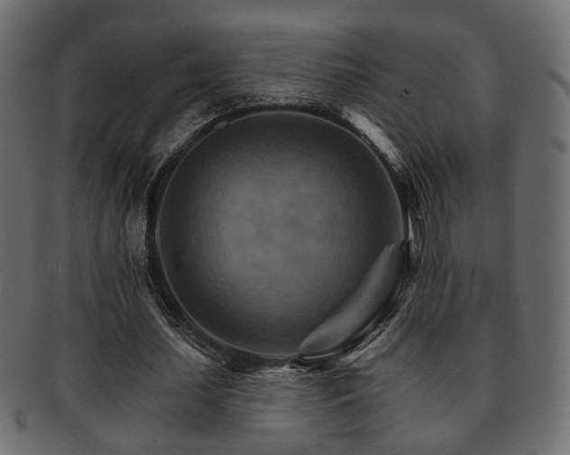 X0000093220627200709261632