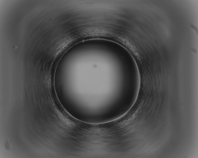 X0000093220629200709261632
