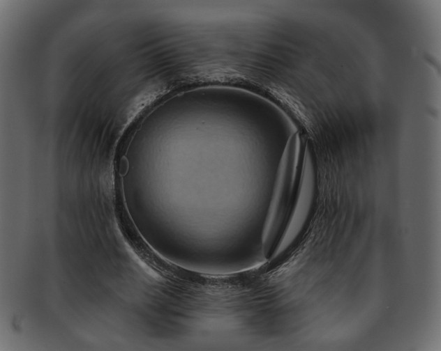 X0000093220630200709261632