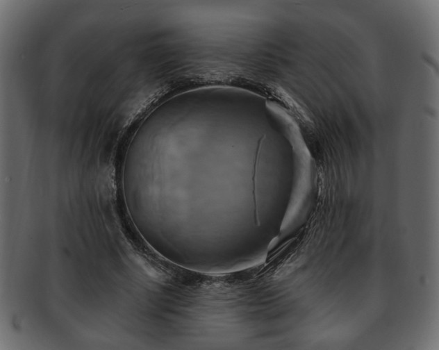 X0000093220634200709261632