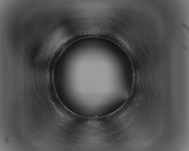 X0000093220636200709261632