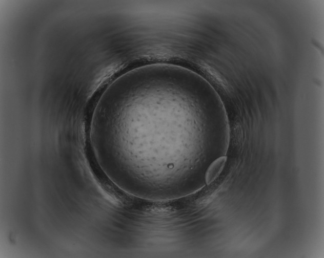 X0000093220638200709261632