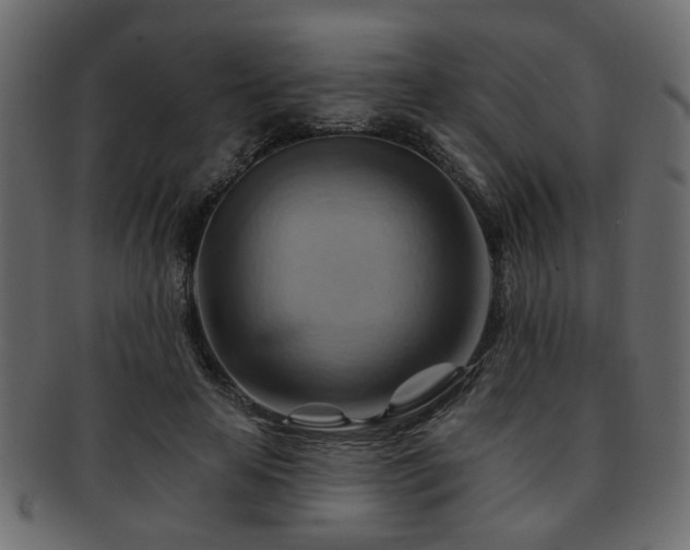 X0000093220641200709261632
