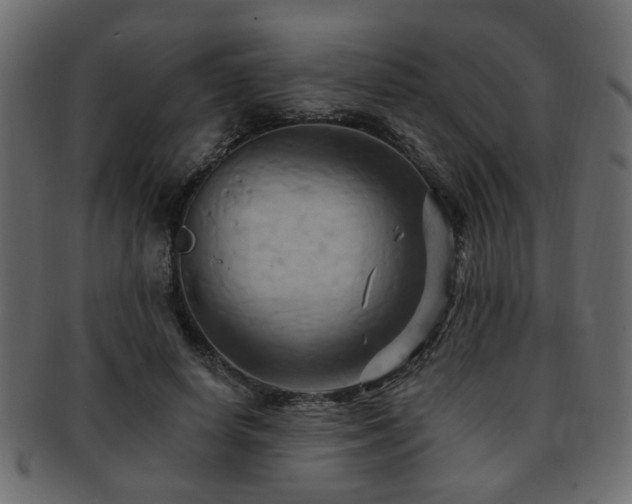 X0000093220642200709261632