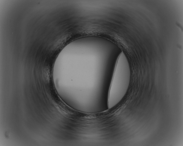 X0000093220644200709261632